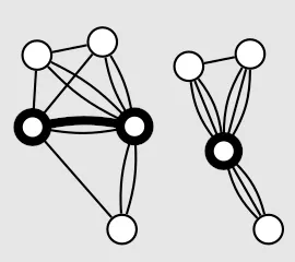 An edge in a multigraph is contracted. Self-loops are eliminated.